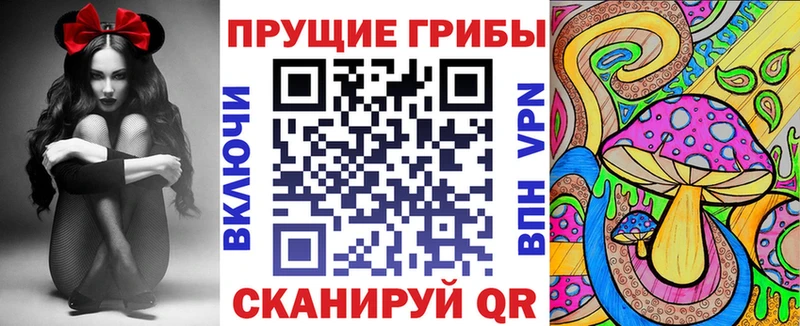 дарнет шоп  Красноармейск  сайты даркнета клад  Галлюциногенные грибы MAGIC MUSHROOMS 